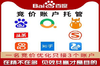 某行业巨头背后的百度竞价代运营公司